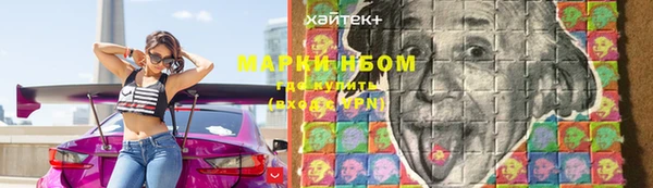 твердый Майский