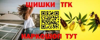 крисы Гатчина