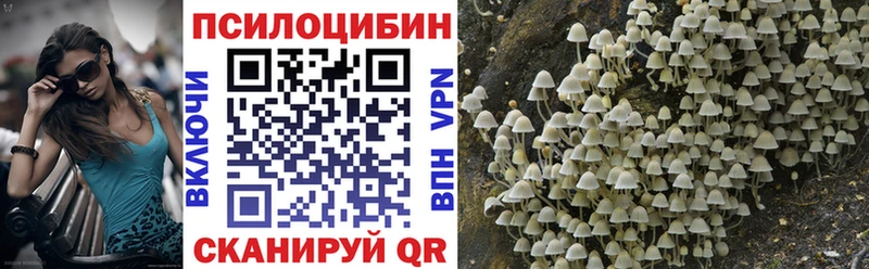 как найти закладки  hydra ссылка  Псилоцибиновые грибы Magic Shrooms  Лосино-Петровский 