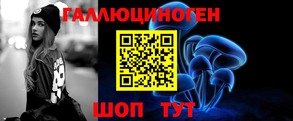 Псилоцибиновые грибы Psilocybe Лосино-Петровский