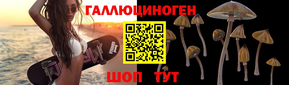 Лосино-Петровский  Псилоцибиновые грибы Psilocybine cubensis  Вход с VPN 